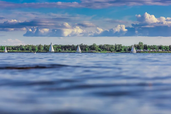 Viele Segelschiffe. — Stockfoto