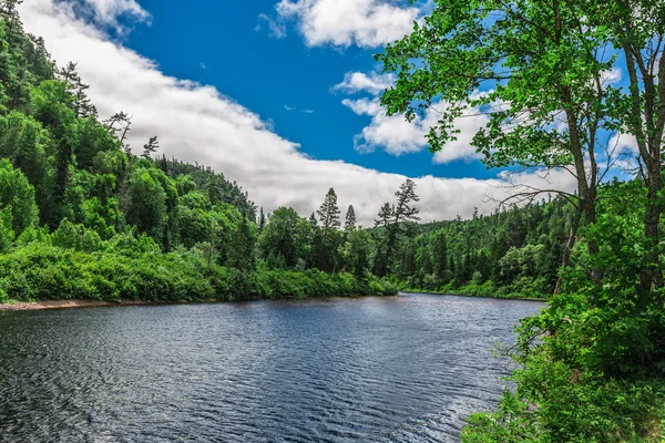 Uma bela paisagem da natureza . Imagem De Stock