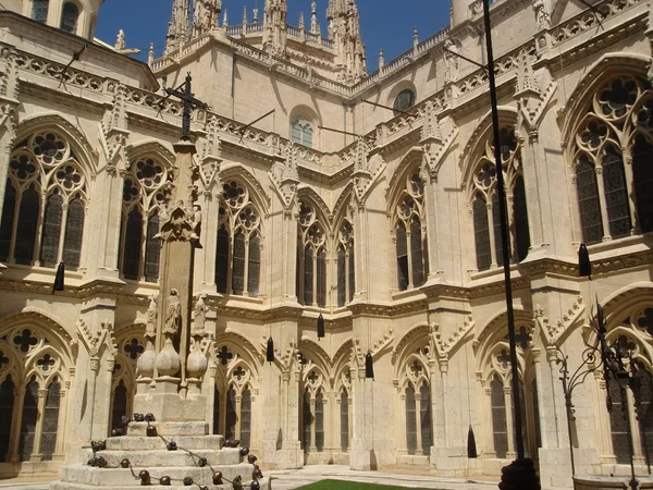 Cour gothique . — Photo
