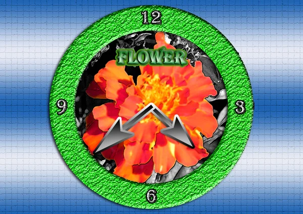Flower clock. — Stock Photo, Image