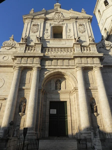 Fachada Catedral . —  Fotos de Stock