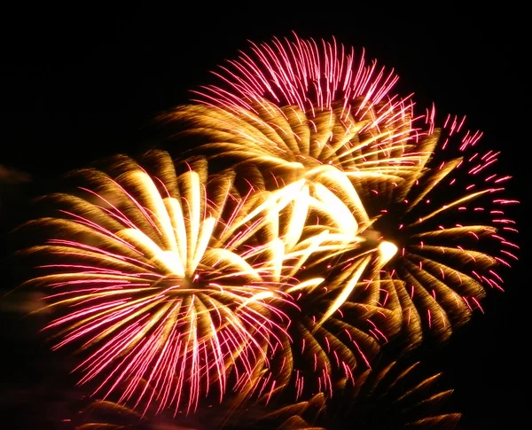 Fogos de artifício. — Fotografia de Stock