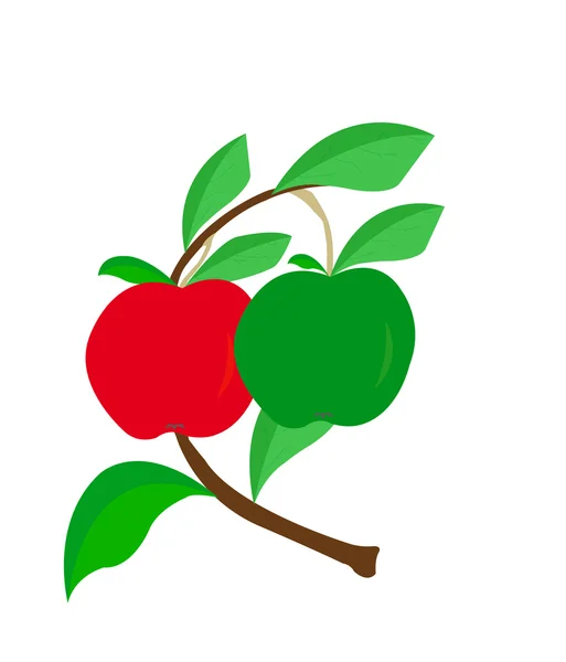 Apples — Stock Vector