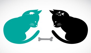 iki kedi görünümlü yemek oturan