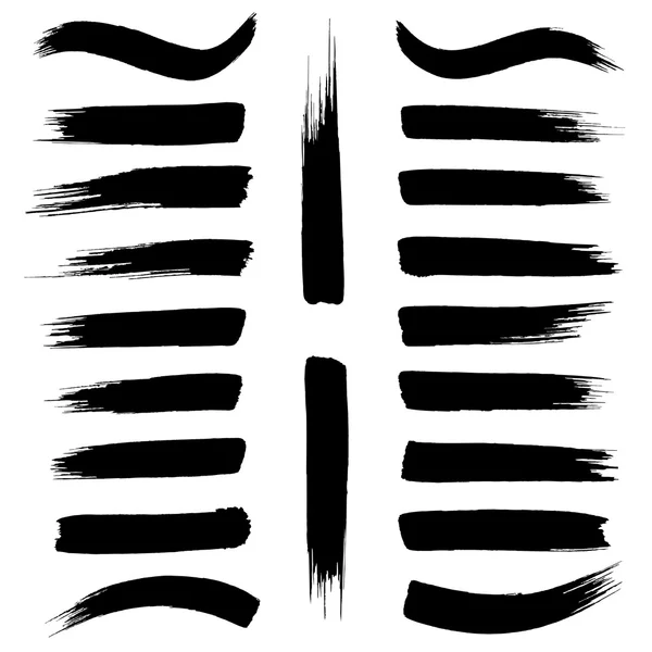 fırça konturları vektör