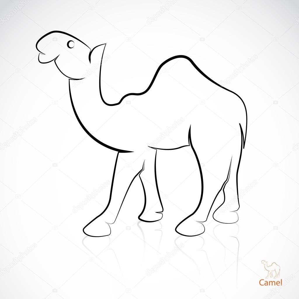 Vector image of an camel Stock Vector Image by ©yod67 #30134325
