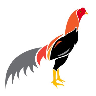 Beyaz arka plan üzerinde horoz