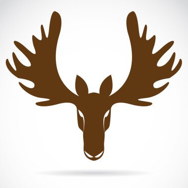 Vector image of an deer head vector