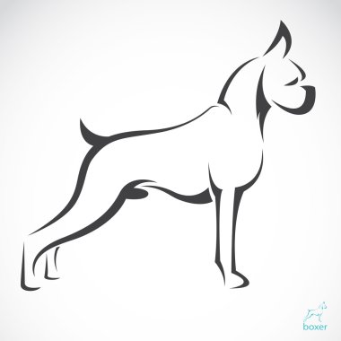 Vektör görüntü bir köpek (boksör)