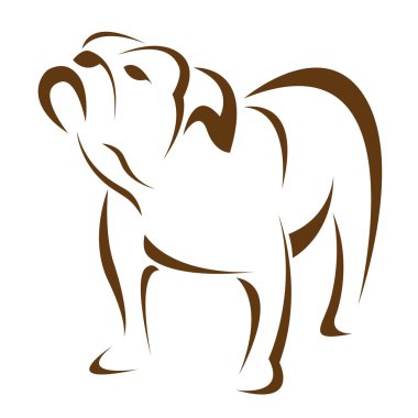 Bir köpek (bulldog vektör görüntü)
