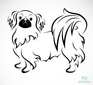 Bir köpek (Pekingese vektör görüntü)