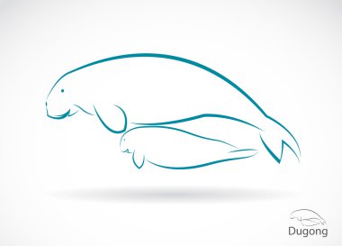 bir dugong vektör görüntü