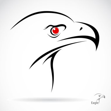 vektör görüntü bir kartal
