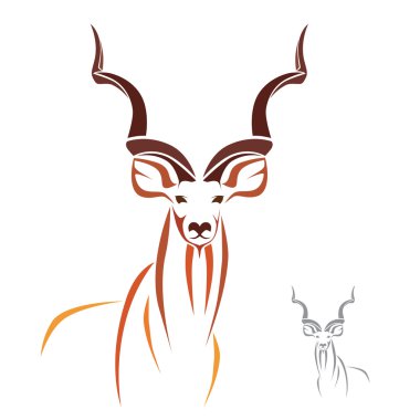 Dünyanın en uzun boynuzları Büyük Kudu 'da.