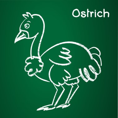 Vector image of a ostrich