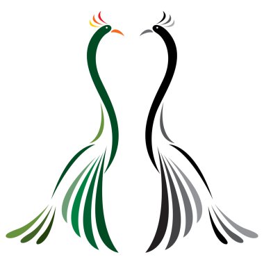 Tavus kuşu vektör görüntü