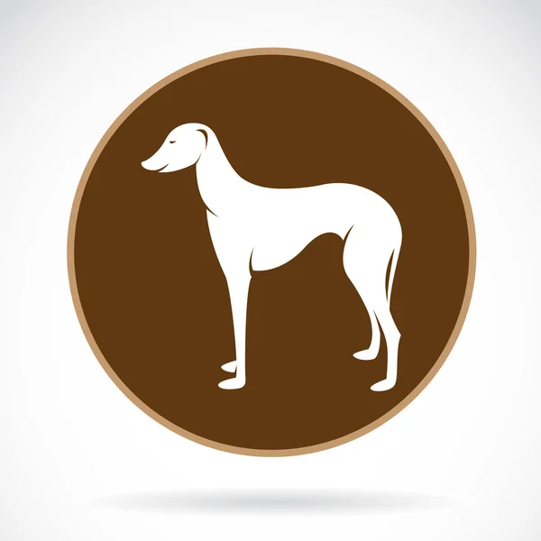 Imagen vectorial de un perro (azawakh ) — Vector de stock