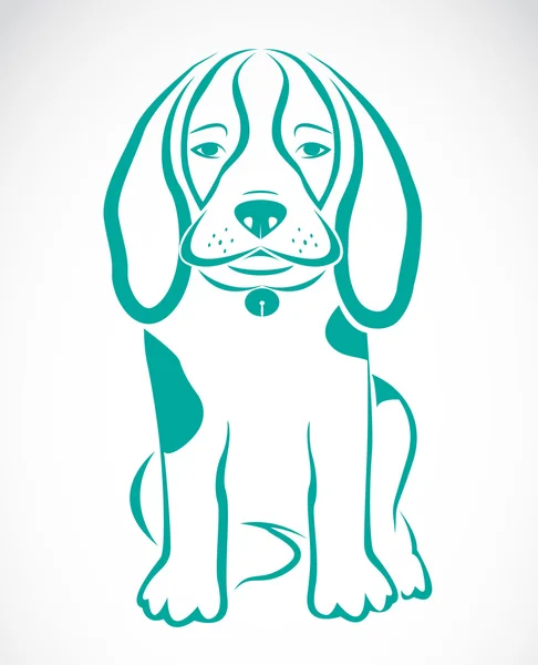 Imagen vectorial de un perrito beagle — Vector de stock