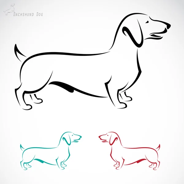 犬 (ダックスのベクトル画像) — ストックベクタ