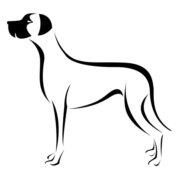 (グレートデーン犬のベクトル画像) — ストックベクタ