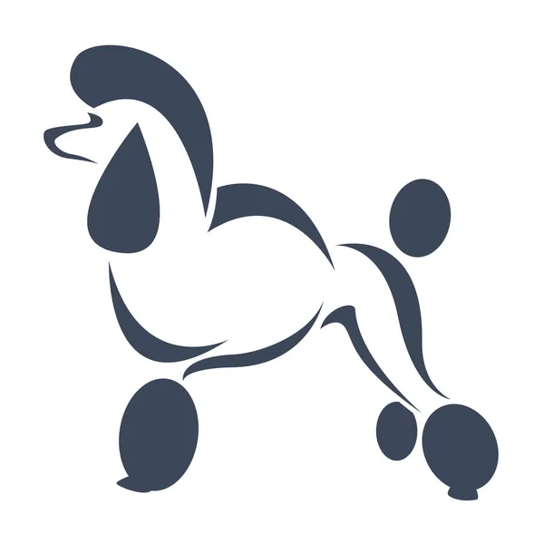 Imagen vectorial de un perro (caniche ) — Vector de stock