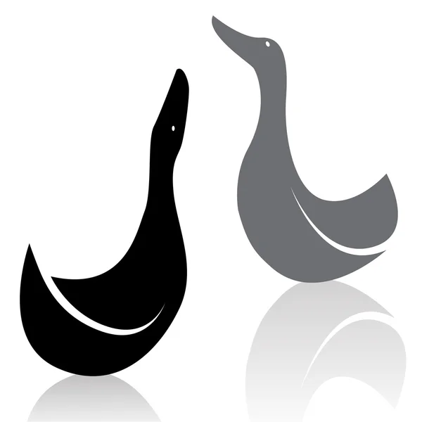 Image vectorielle d'un canard — Image vectorielle