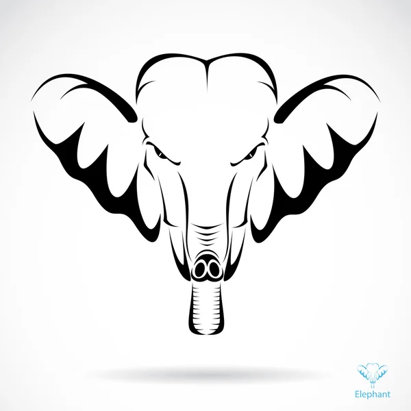 Vektor kép egy elefánt — Stock Vector