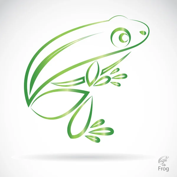 Imagen vectorial de una rana — Vector de stock