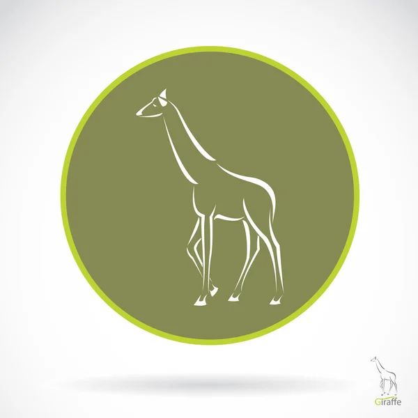 Imagem vetorial de uma girafa — Vetor de Stock