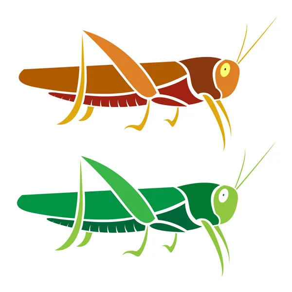 Vector image of an grasshopper — Stock Vector