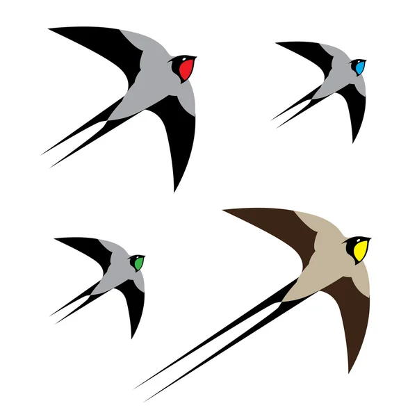 Cuatro coloridas aves en vuelo — Vector de stock