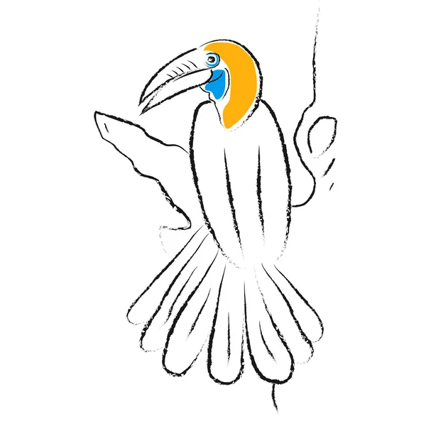 Vektorbild eines Hornvogels — Stockvektor
