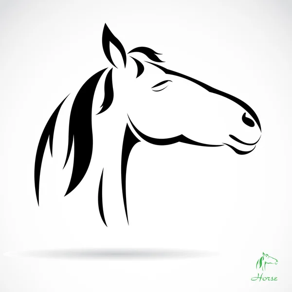 Imagem vetorial de um cavalo — Vetor de Stock