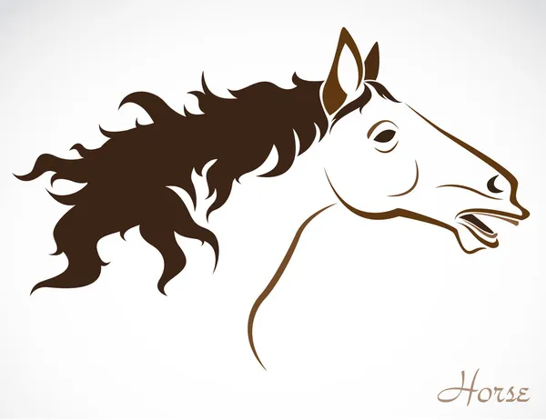 Векторное изображение лошади — стоковый вектор