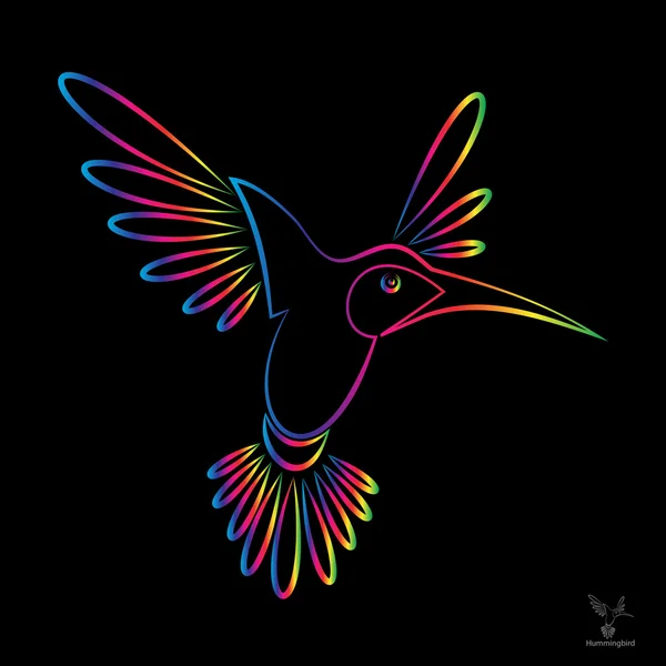 Image vectorielle d'un colibri — Image vectorielle