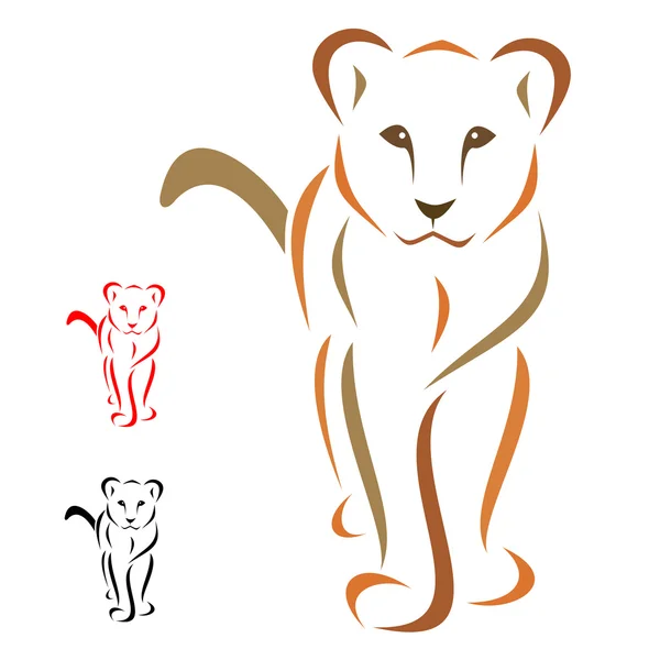 Female lion standing facing — Stock Vector