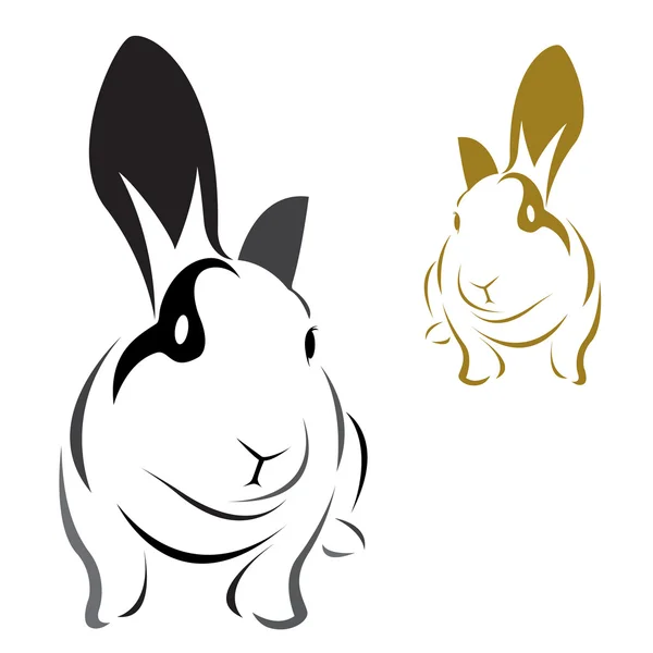 Vector image of an rabbit — Stock Vector