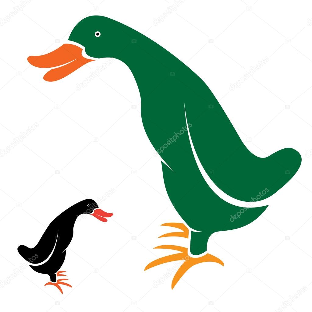 Vector image of an duck