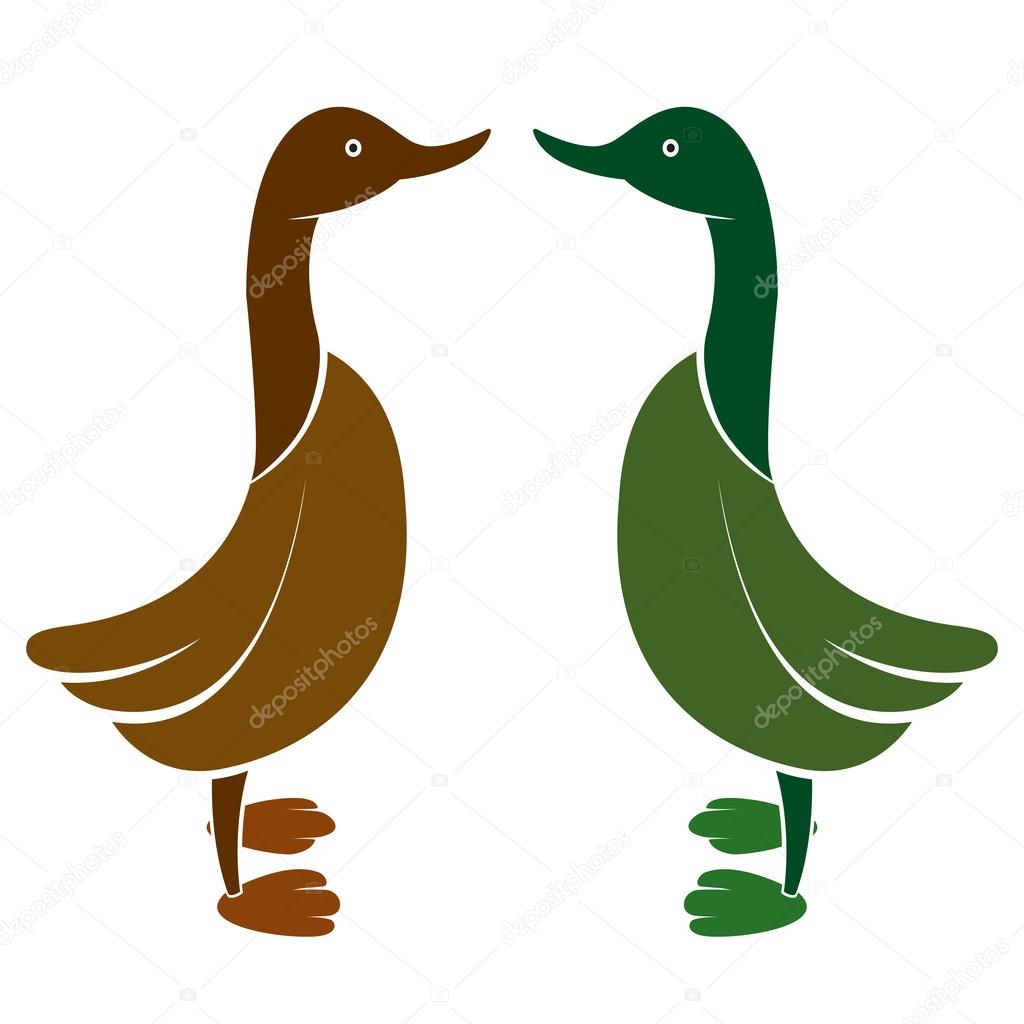 Vector image of an duck