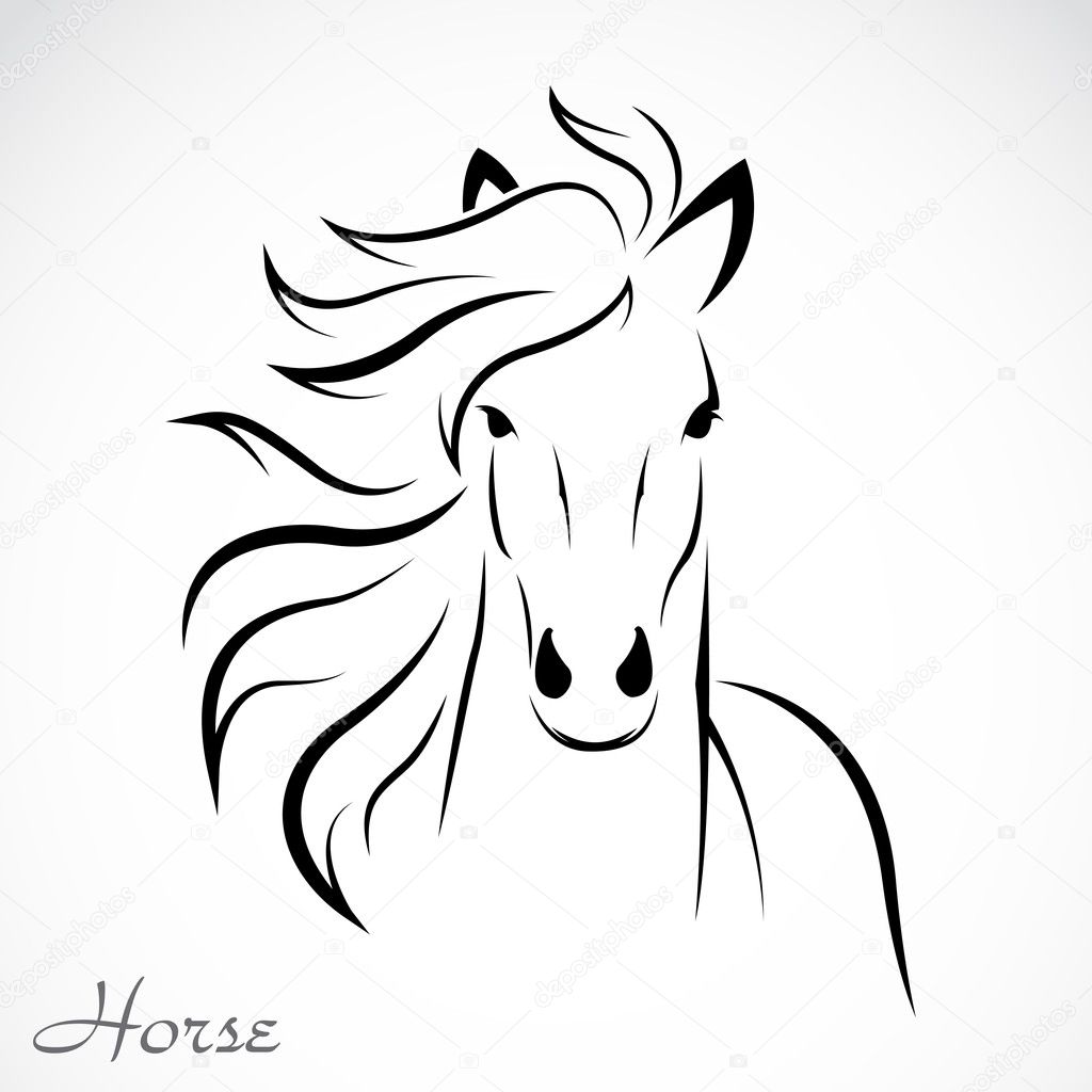 Vector image of an horse