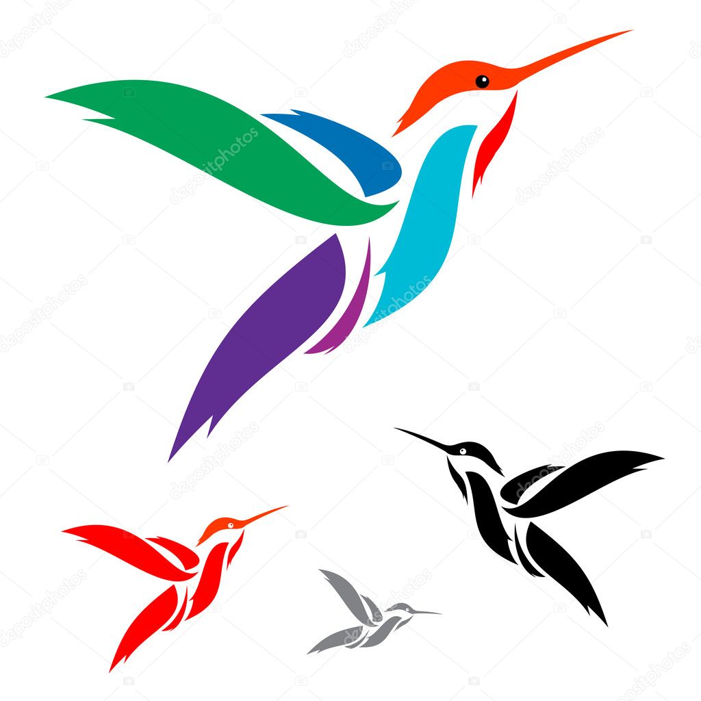 Vector image of an hummingbird