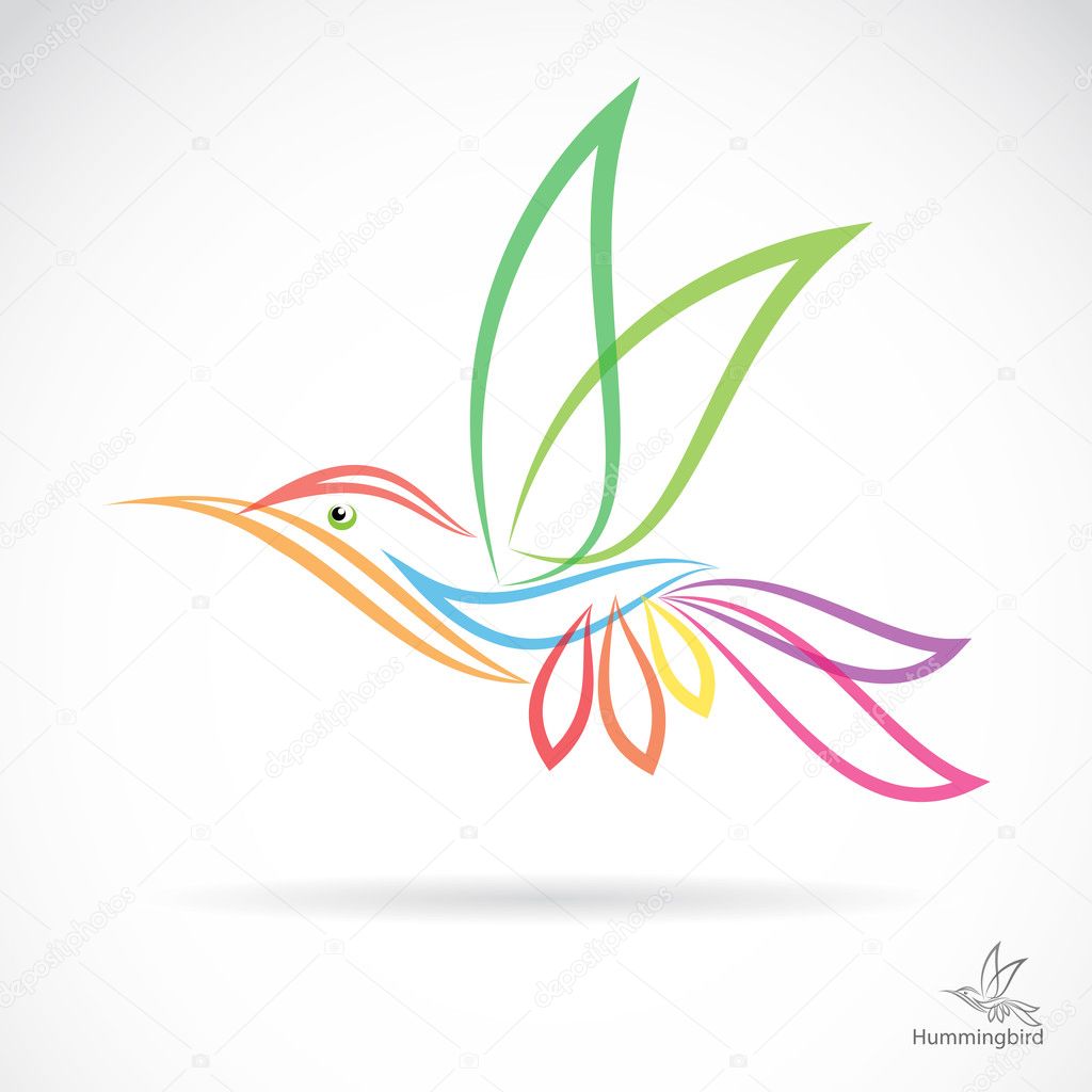 Isolated abstract humming bird in white background