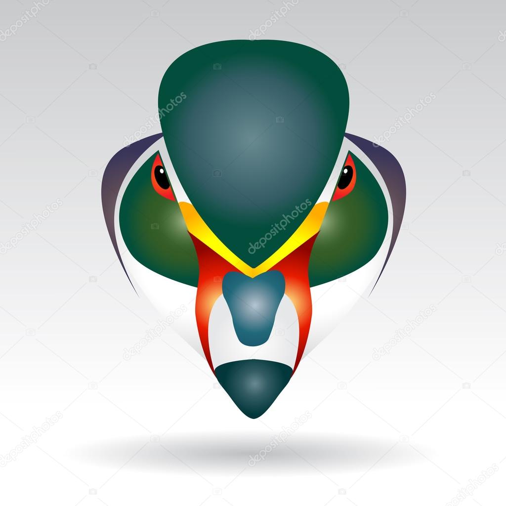 Head of Mandarin Duck beautifully designed half