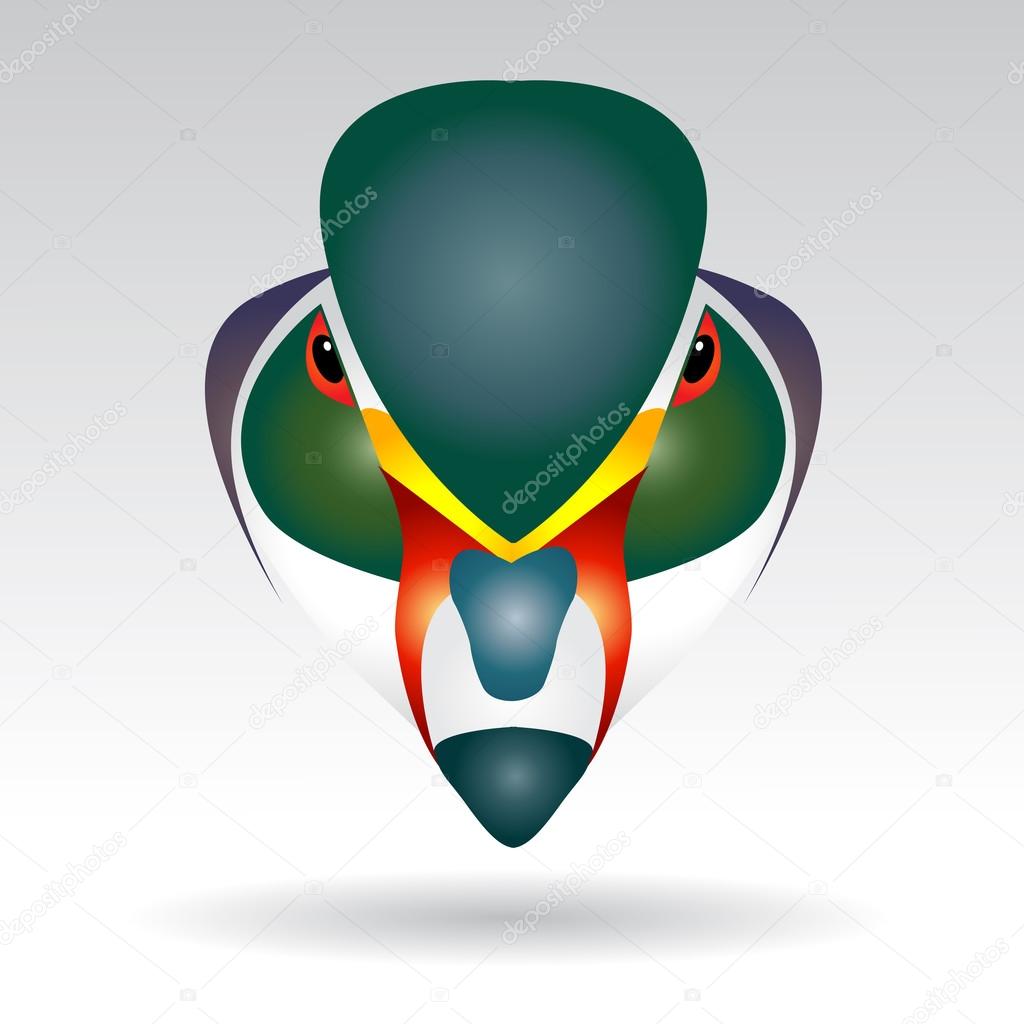 Head of Mandarin Duck beautifully designed half - vector