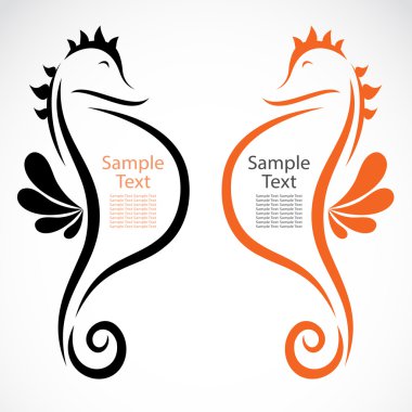 denizatı tasarımı