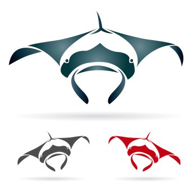 Vector image of an stingray clipart