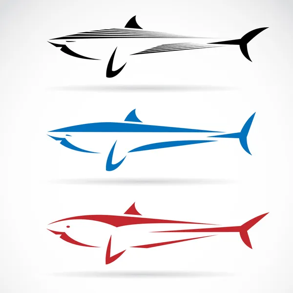 Illustration vectorielle du requin — Image vectorielle