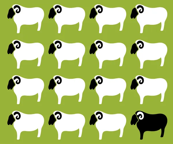 Wallpaper images of sheep — Stock Vector