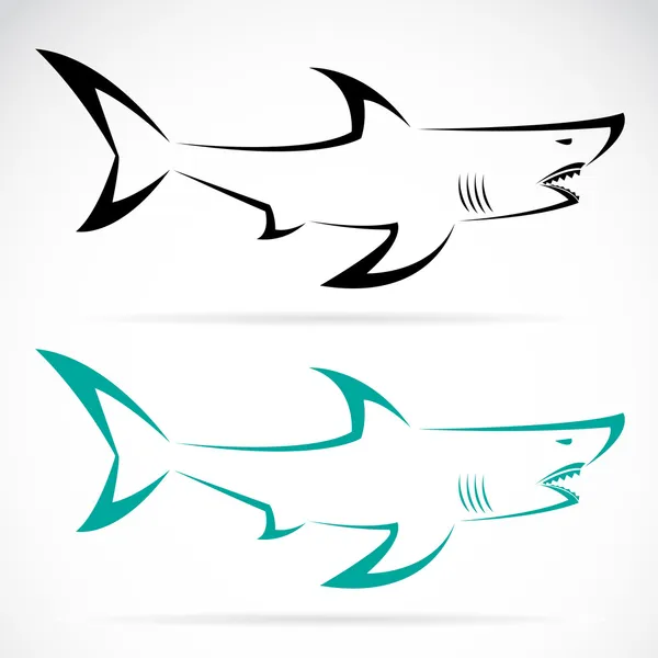 Vector image of an shark — Stock Vector