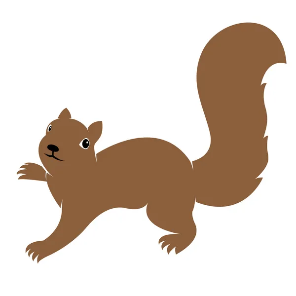 Vector afbeelding van een eekhoorn — Stockvector